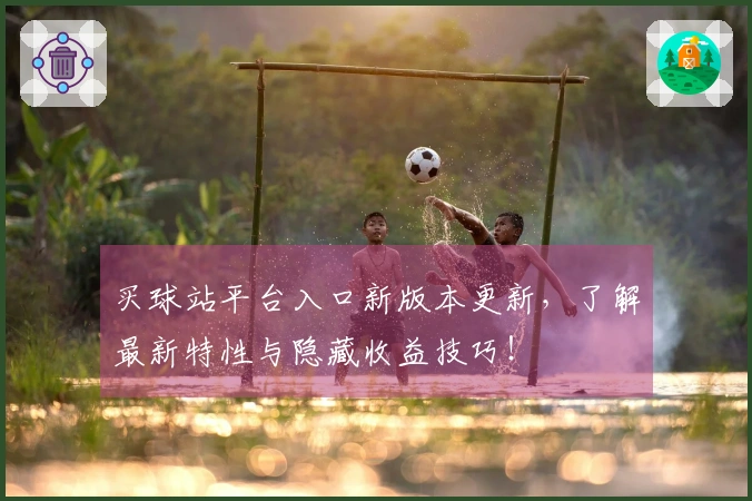 买球站平台入口新版本更新，了解最新特性与隐藏收益技巧！